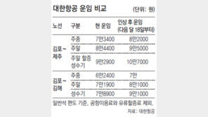 대한항공, 국내선 운임 평균 9.9% 인상