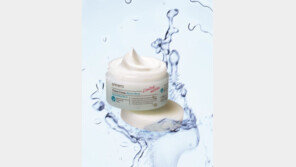 [2012 상반기 히트상품] 까칠한 피부에 촉촉한 선물