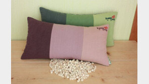 [2012 상반기 히트상품] “난 피톤치드 향균물질 베고 잔다”