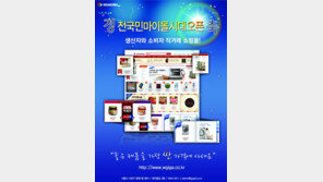 [2012 상반기 히트상품] IT 만난 쇼핑몰…불황은 없다