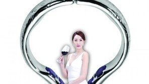 [2012 상반기 히트상품] ‘성기능강화 링’으로 다시 태어난다