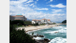 대명리조트 1,300만원“하프패밀리”특별회원 모집