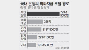 외화예금 3배로 늘려 외화불안 줄인다