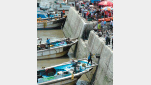 [인천/경기]“꽃게가 왔어요”