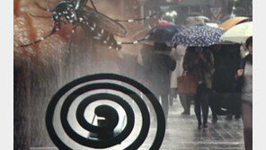 [뉴스A]29일부터 장마…비오면 모기수 늘까 줄까