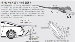사막딱정벌레 등딱지 각질층에 가뭄해결 비법이…