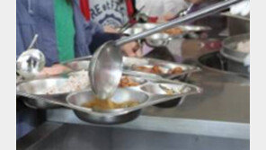 “농약 쌀… 가짜 한우… 금식시키고 싶은 급식”