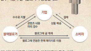 [인터넷 여론 왜곡하는 뉴미디어 스나이퍼]<中> 사이비 언론을 닮아가는 블랙블로거