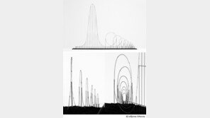 ‘아무도 못타는 롤러코스터’ 보기만 해도 어질어질