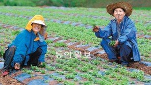 “비가 꿀맛이여∼” 전국에 빗줄기