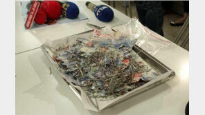 개미떼 현금 습격, 8년간 모은 3800만 원이 허공에…