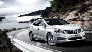 “국토부, 그랜저HG 배기가스 알고도 쉬쉬!” 사실일까?