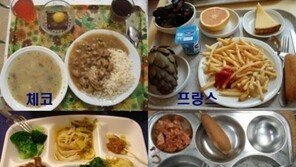 나라별 급식 모음, “에이~ 한국급식 너무 오버다!”