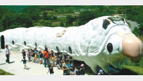 [대구/경북]누에고치의 재발견