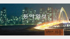 세종특별자치시 오늘 문연다