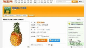 악마의 파인애플, ‘디아블로3 주문했는데 파인애플 3개가…’