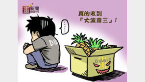 악마의 파인애플, “알고 보면 중독에서 구해준 천사 파인애플!”