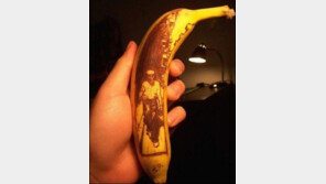 바나나로 그린 그림, 정말 섬세하네 ‘먹기 아까워’