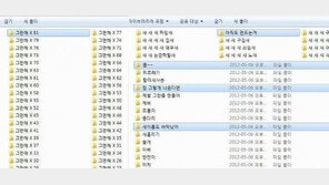 ‘새폴더 계속 만들면?’… “그만해!” 컴퓨터 경고에 ‘폭소’