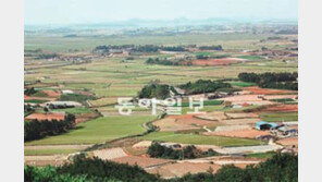 [광주/전남]무안기업도시 7년만에 청산