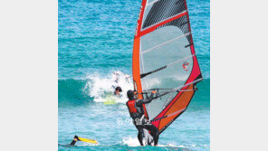 [부산/경남]더위를 가른다