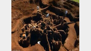 개미가 무서운 이유, 거대 개미굴 포착에 누리꾼 ‘경악’