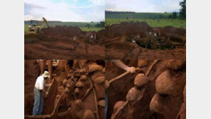 개미가 무서운 이유, “티끌 모아 태산이 뭔지 몸소 보여주네”