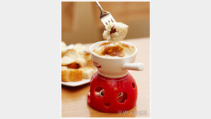 [우먼 동아일보 핫 플레이스] 치즈로 전 세계 여행~ 치즈카페 ‘Sun rich cheese cafe’