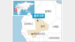 말리 알카에다 ‘유적 테러’