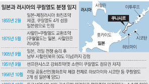 메드베데프, 日과 영토분쟁 쿠릴 전격방문