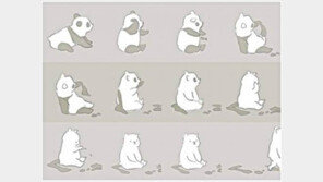 팬더 화장전후…‘알고보니 화장발?’