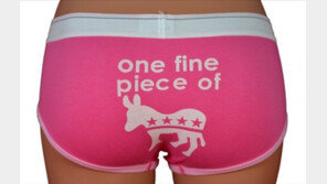 미국의 2012년 대선 캠페인, “우리도 한번 해보면 어떨까?”