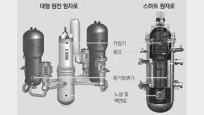 국산 중소형 ‘스마트 원자로’ 세계 첫 표준인가 획득