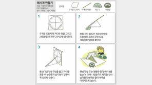 [신문과 놀자!]‘해를 품은 달’ 진짜 주연은 우주에 있다