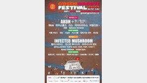 그린 그루브 페스티벌에서 에이콘과 콜라보레이션 공연을 할 팀은 누구?