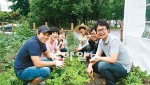 [대구/경북]“캠퍼스 텃밭서 농사의 멋 느끼죠” 경북대 ‘희망토 마을’ 참여 늘어