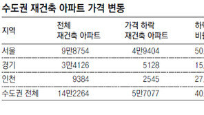 약발 안먹히는 수도권 재건축