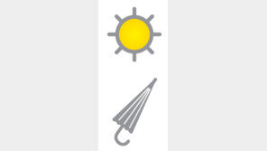 [부자됩시다]가뭄-무더위에 곡물-빙과류 들썩… 날씨株 랠리