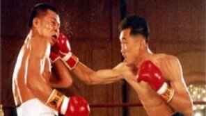 <영광의 복서-11> 안 맞고 이기는 것도 실력, 최고의 아웃복서