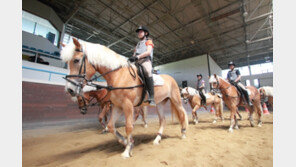 귀여운 ‘하프링거’ 어린이를 부탁해