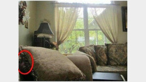 이해하면 무서운 사진, 쇼파 옆을 자세히 보니…