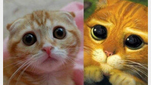 만화를 능가하는 현실, 우수에 찬 눈빛 ‘귀여워’ 