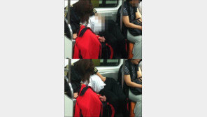 6호선 민망커플, 모자이크 걷어내니 “착시가 부른 오해”