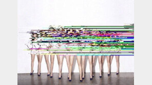 힙합스타 스눕독, 소녀시대 비하? “다리밖에 볼 게 없다”