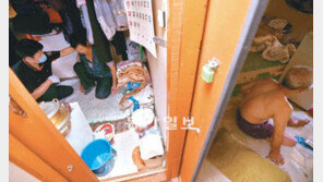 특명! ‘더위’를 퇴출하라