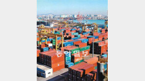 [인천/경기/이슈 점검]작년 흑자 전환속 올 물동량 감소 ‘비상’