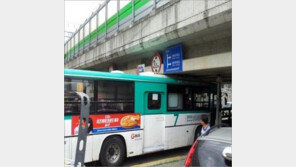 버스껴 버스껴 “고가도로 밑에서 어쩌다? 제목 센스 대박”