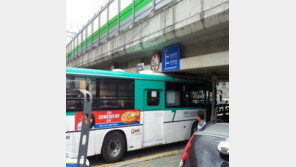 버스껴 버스껴 ‘깜짝’… “이게 지금 웃을 일이야?”