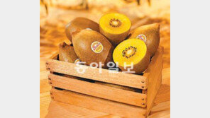 [헬스&뷰티]저혈당 과일 키위, 임산부 건강 + 다이어트에 딱!