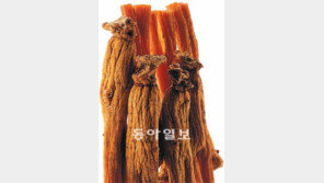 [헬스&뷰티]고혈압은 섭취 금지? ‘홍삼은 억울해’